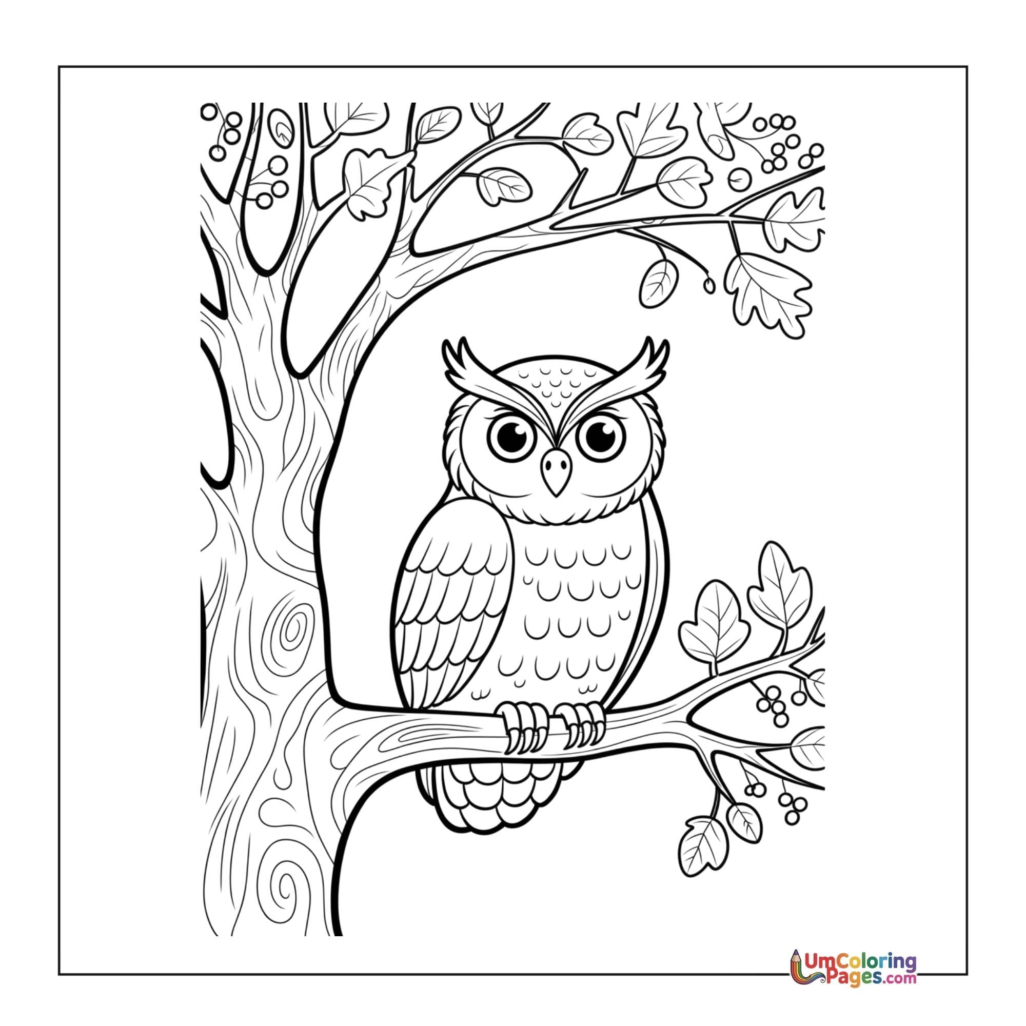 Owl coloring page 4 - free printable PDF