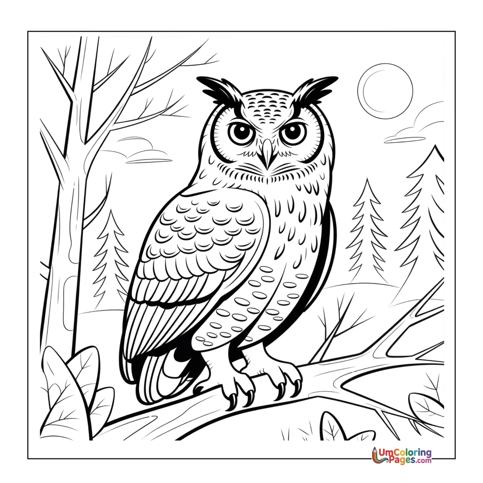 Owl coloring page 7 - free printable PDF