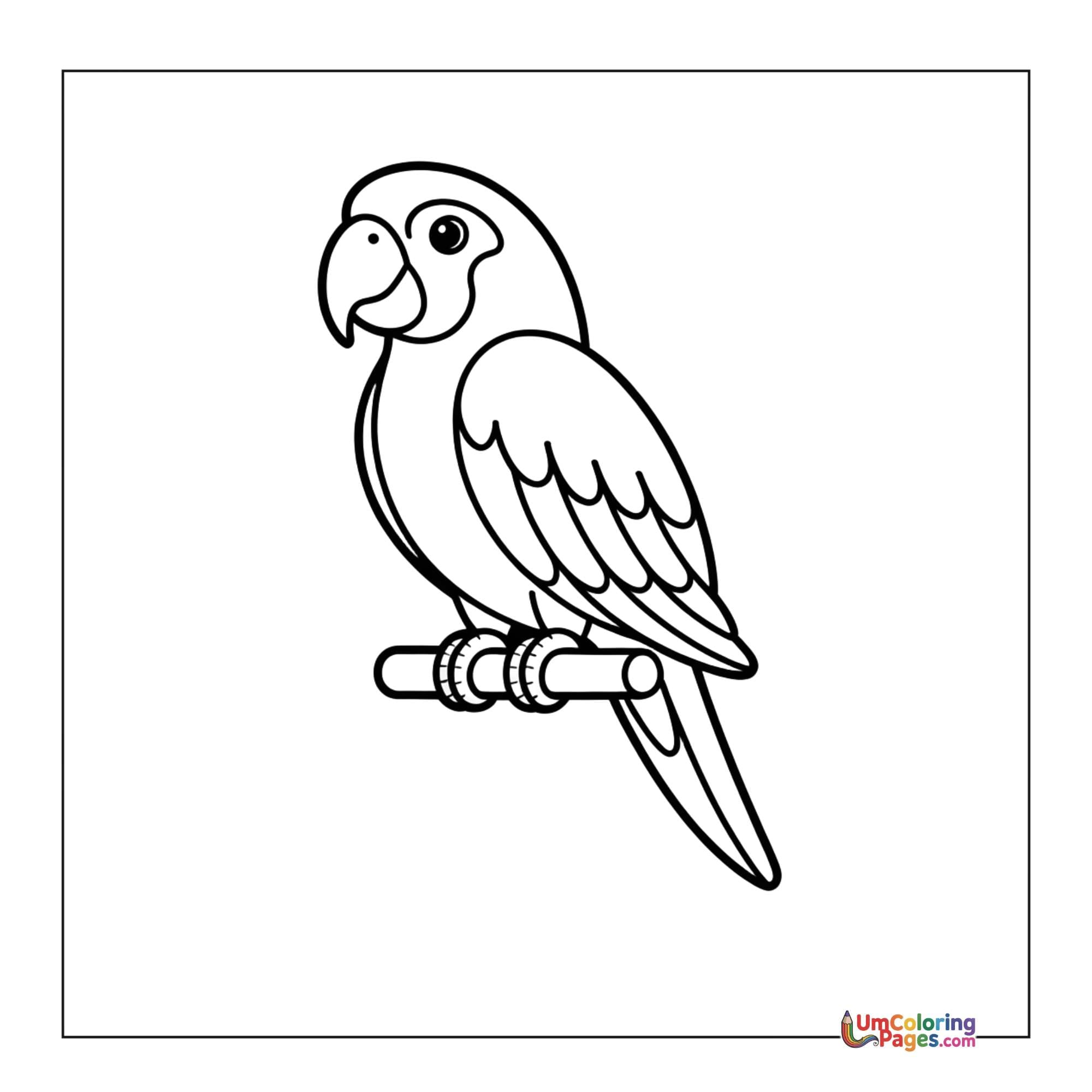 Parrot coloring page 3 - free printable PDF