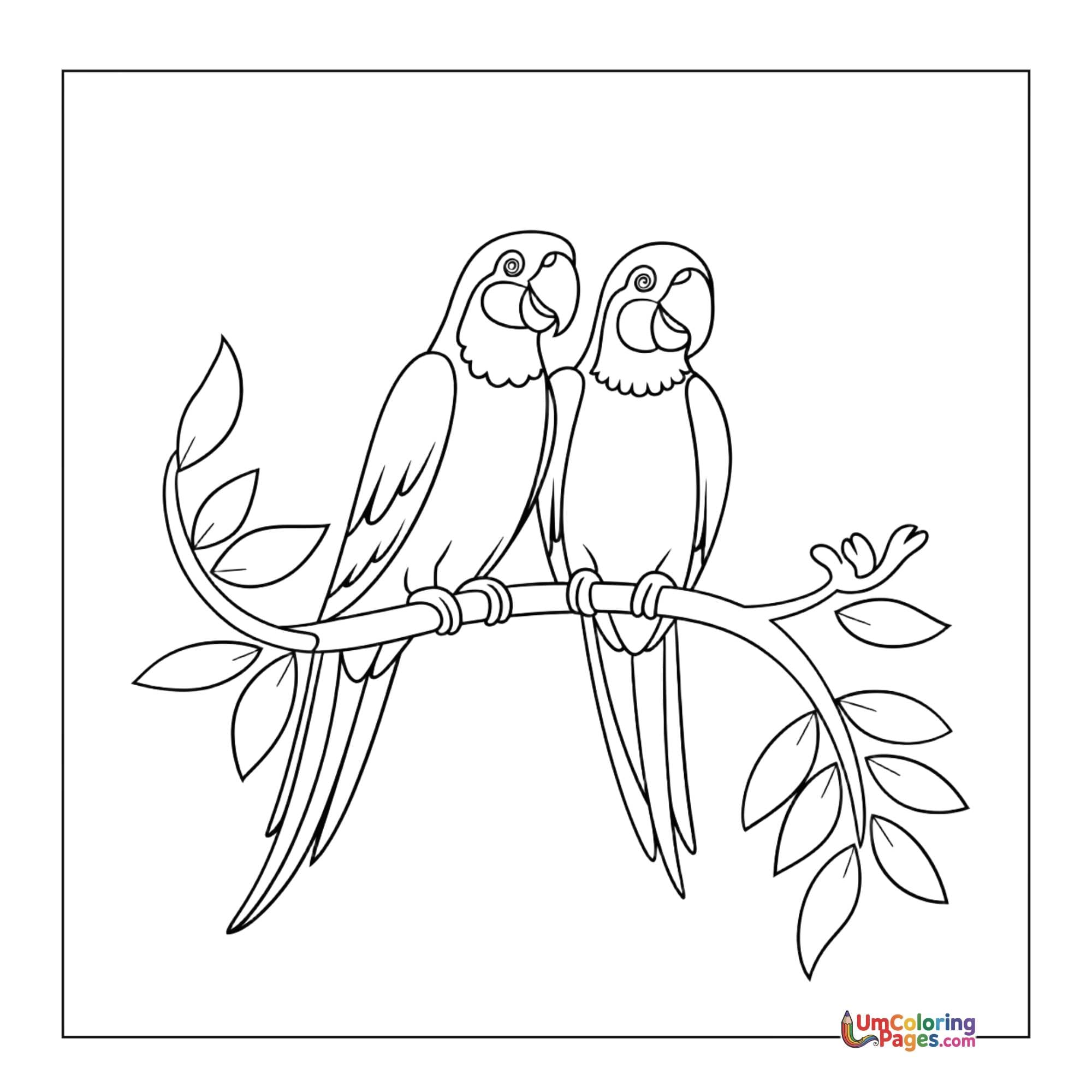 Parrot coloring page 5 - free printable PDF