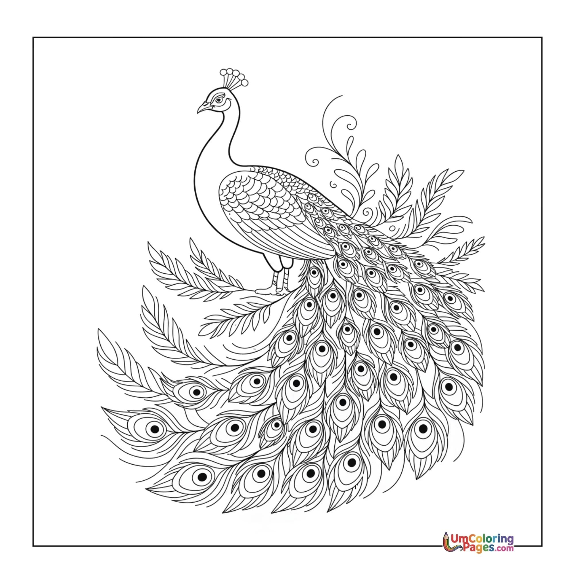 Peacock coloring page 4 - free printable PDF