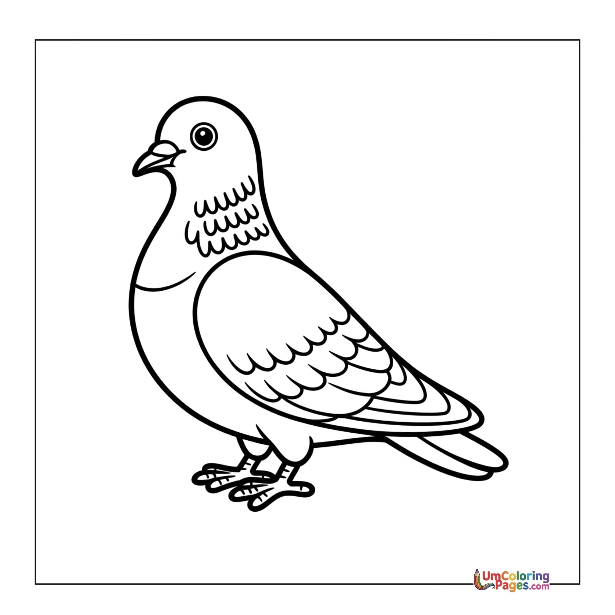 Pigeon coloring page - free printable