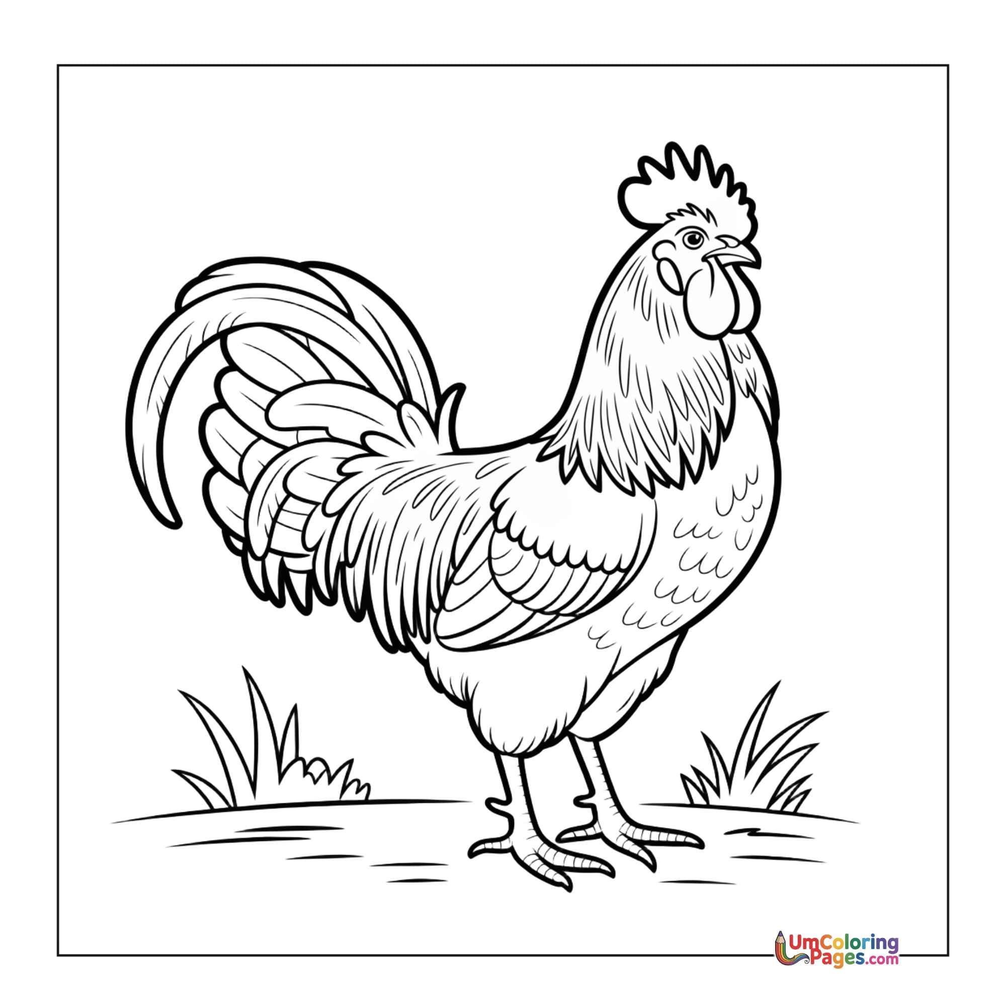 Rooster coloring page 3 - free printable PDF