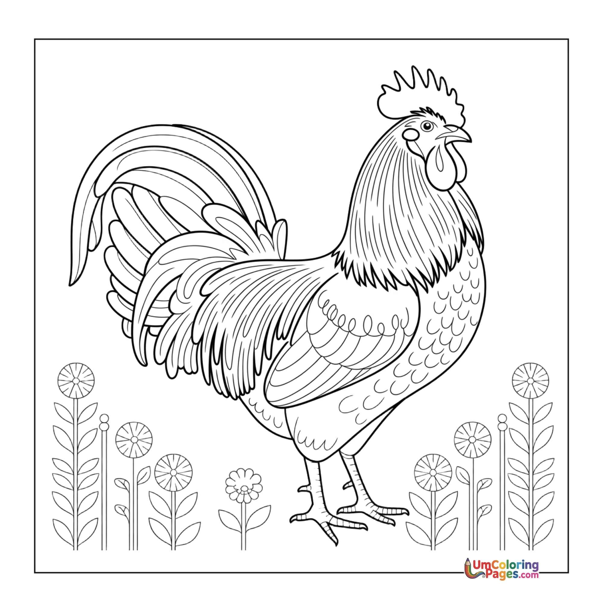 Rooster coloring page 4 - free printable PDF