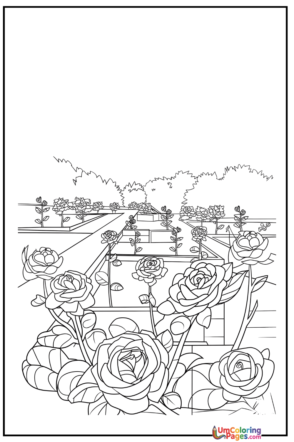 Rose  Garden coloring page 8 - free printable PDF