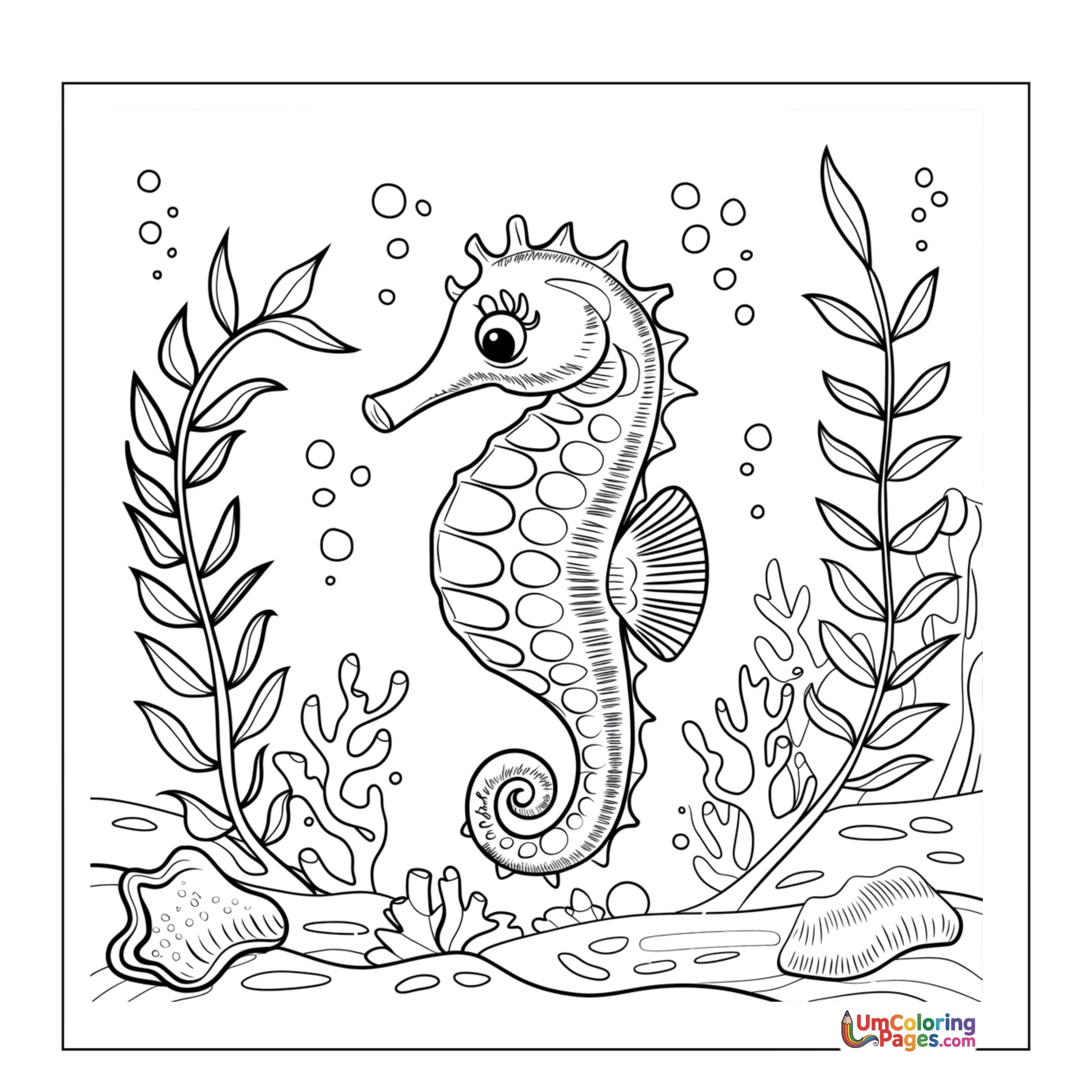Seahorse coloring page 4 - free printable PDF