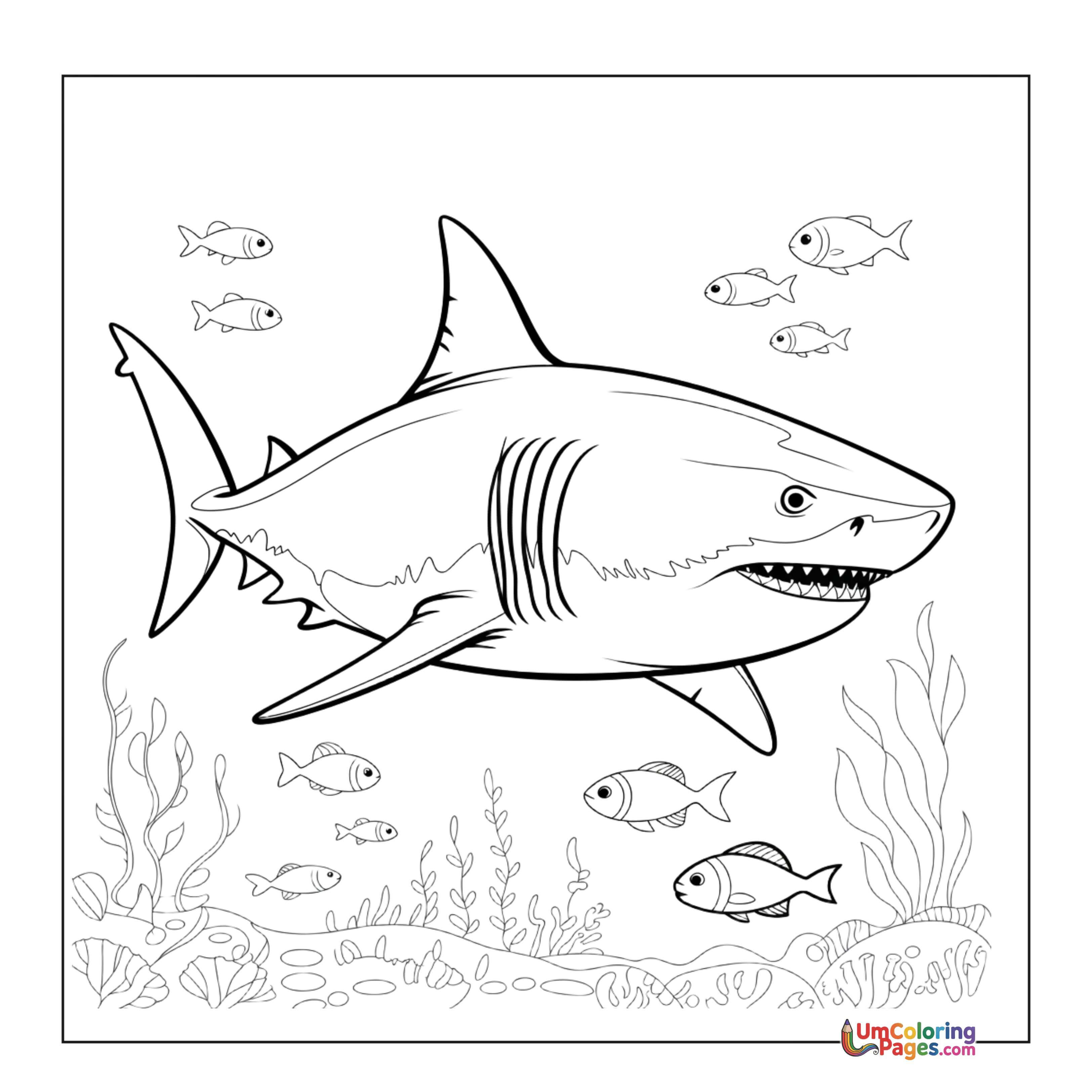 Shark coloring page - free printable