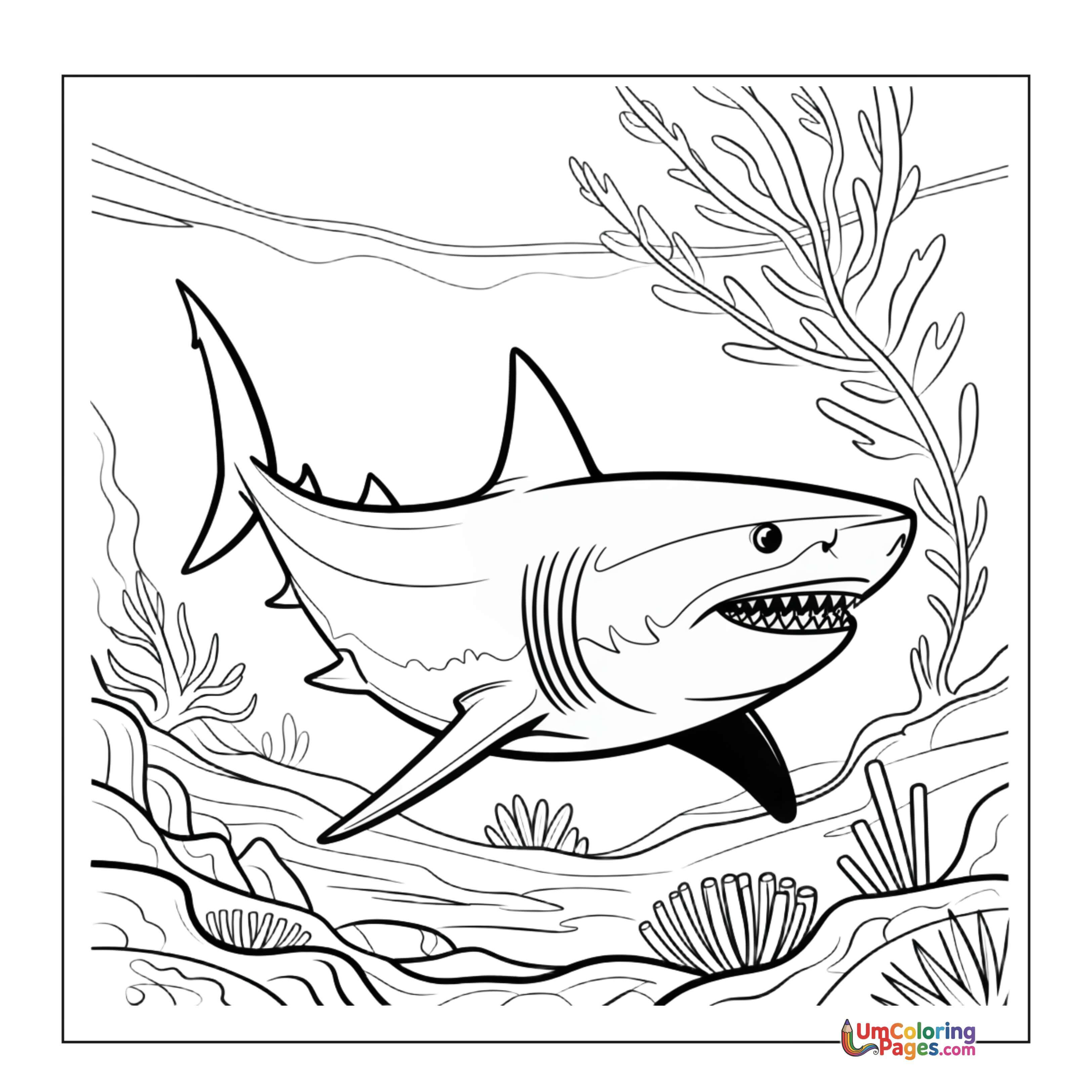 Shark coloring page 5 - free printable PDF