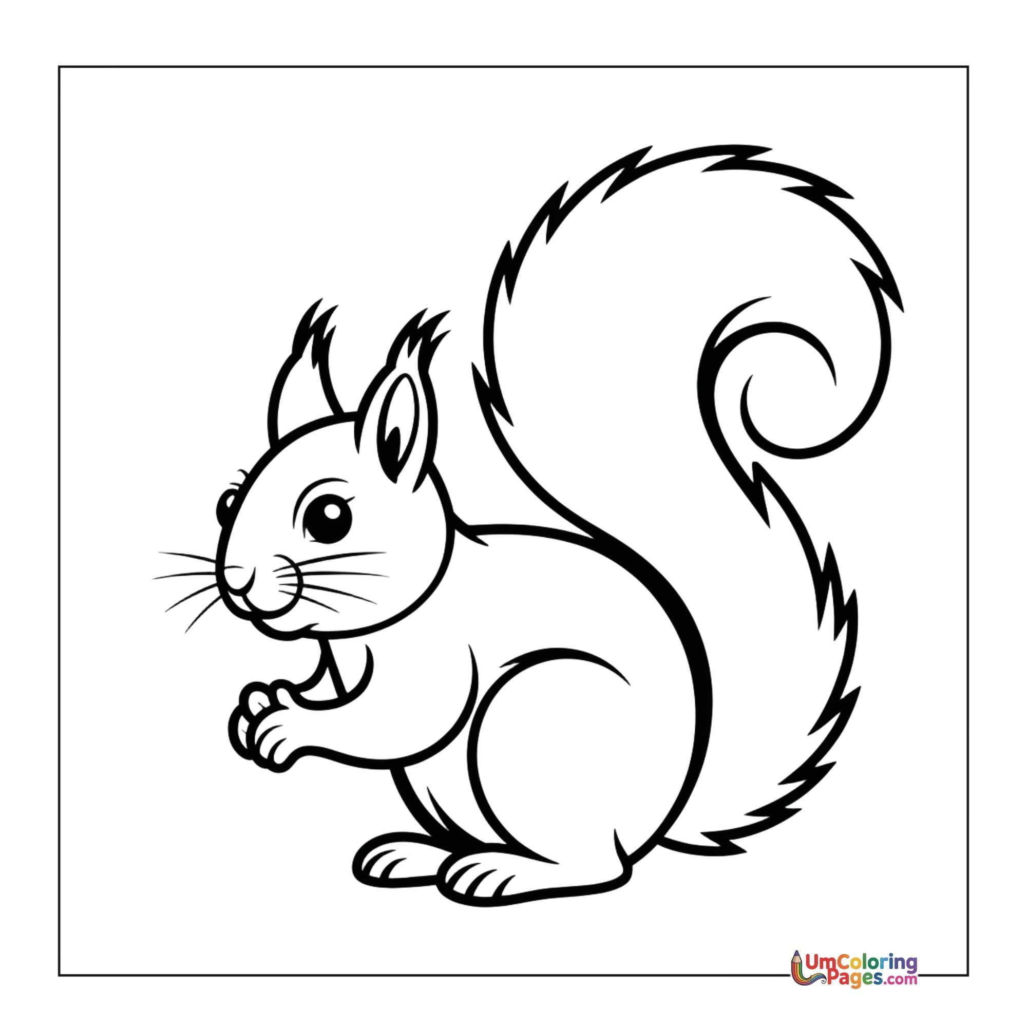 Squirrel coloring page - free printable