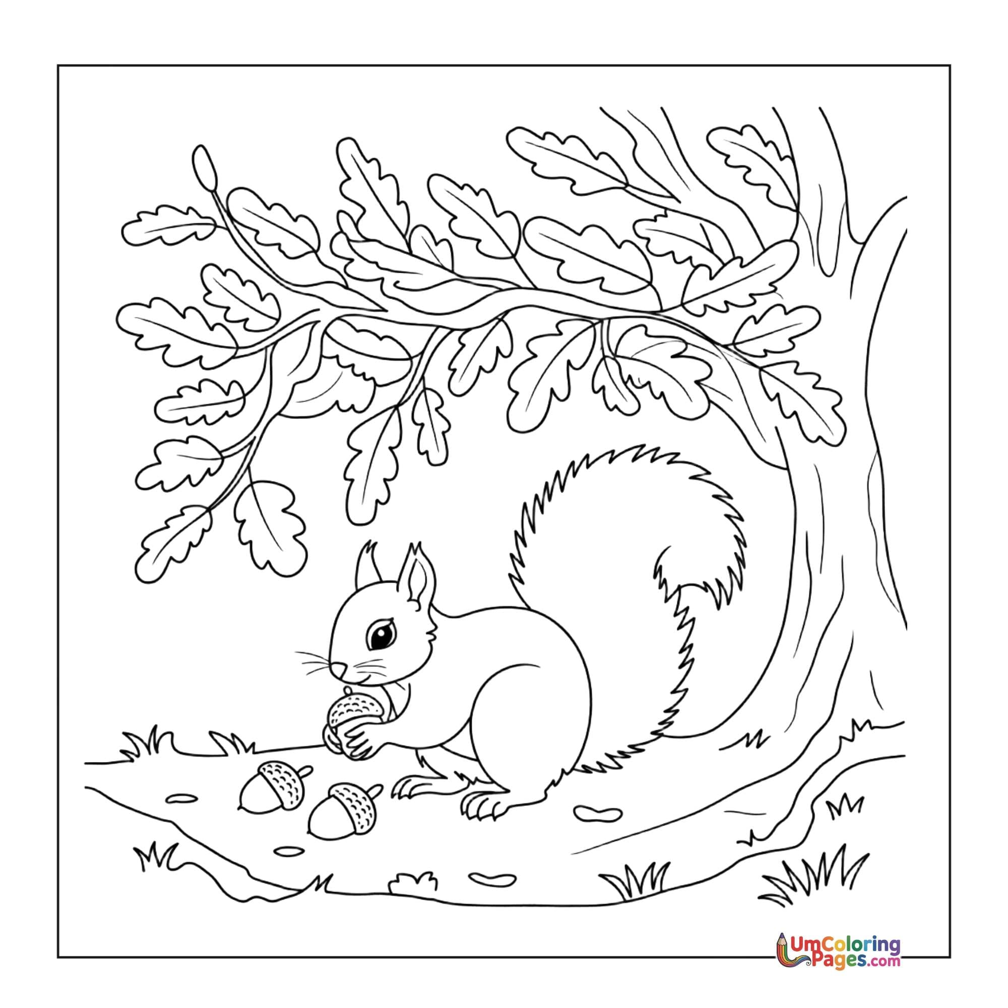 Squirrel coloring page 2 - free printable PDF
