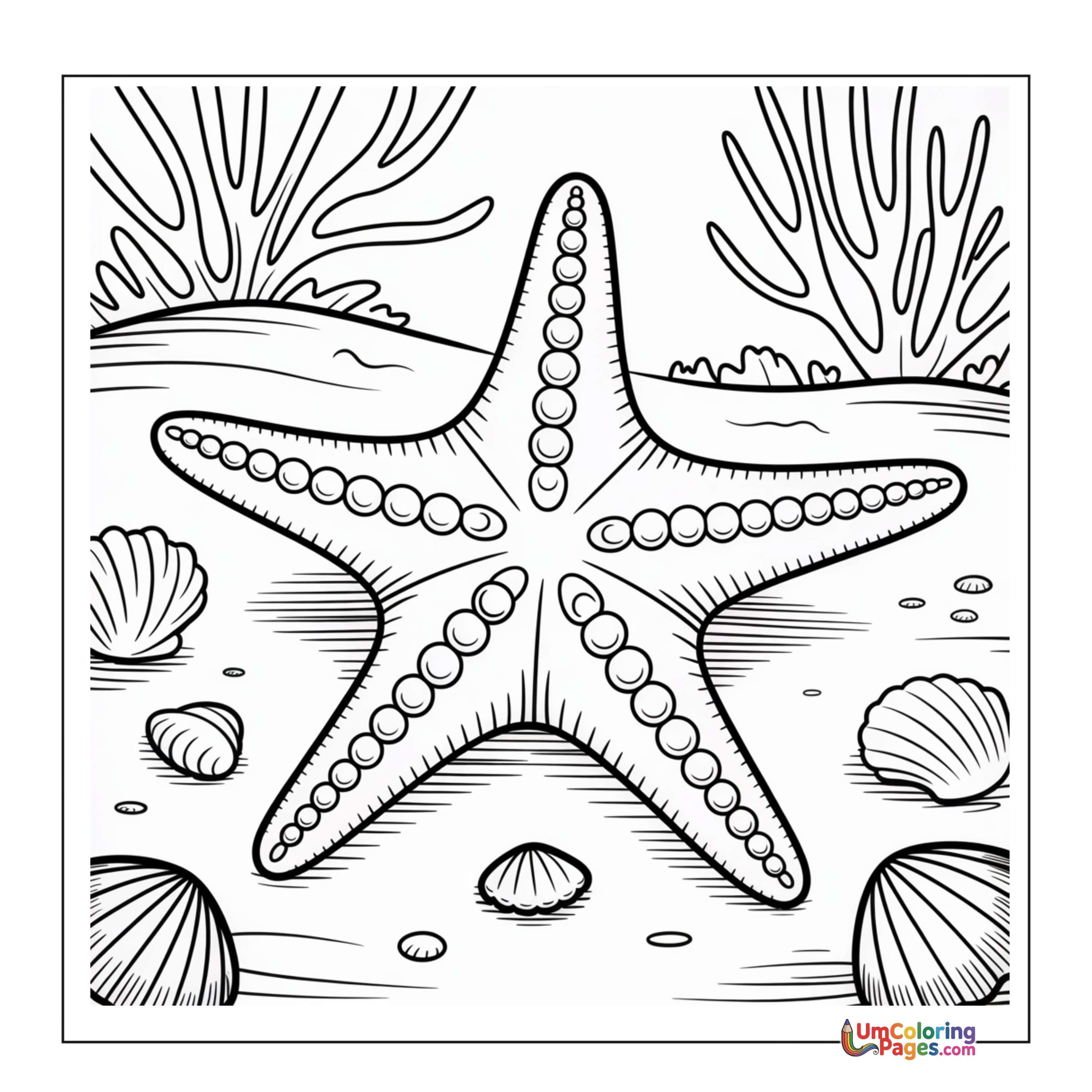 Starfish coloring page 3 - free printable PDF