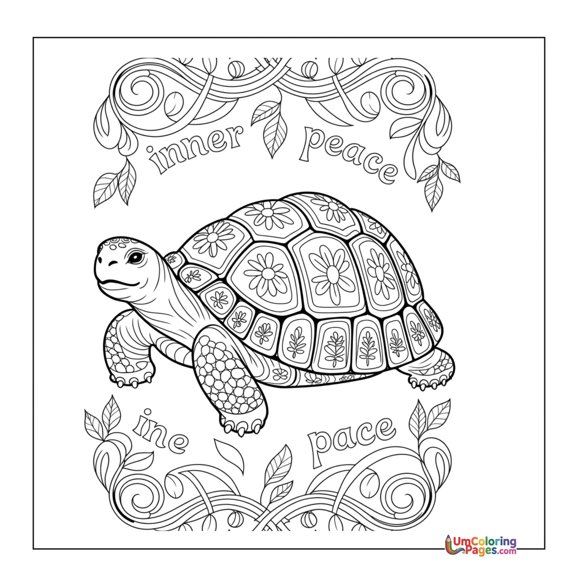 Tortoise coloring page - free printable