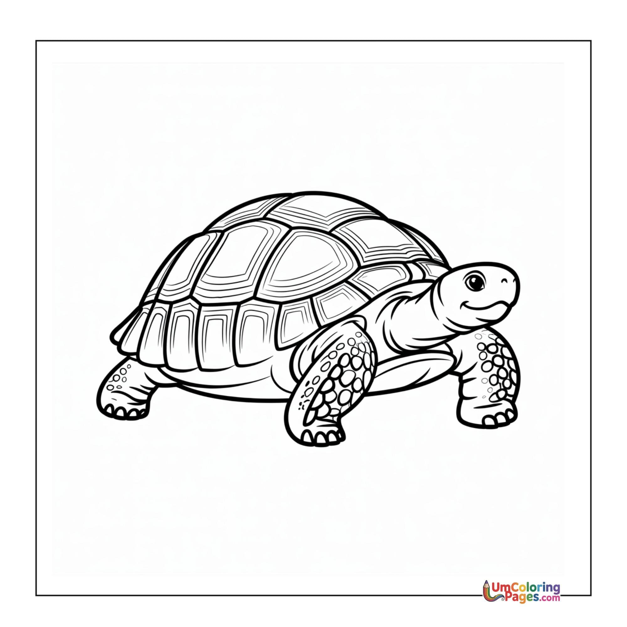 Tortoise coloring page 3 - free printable PDF