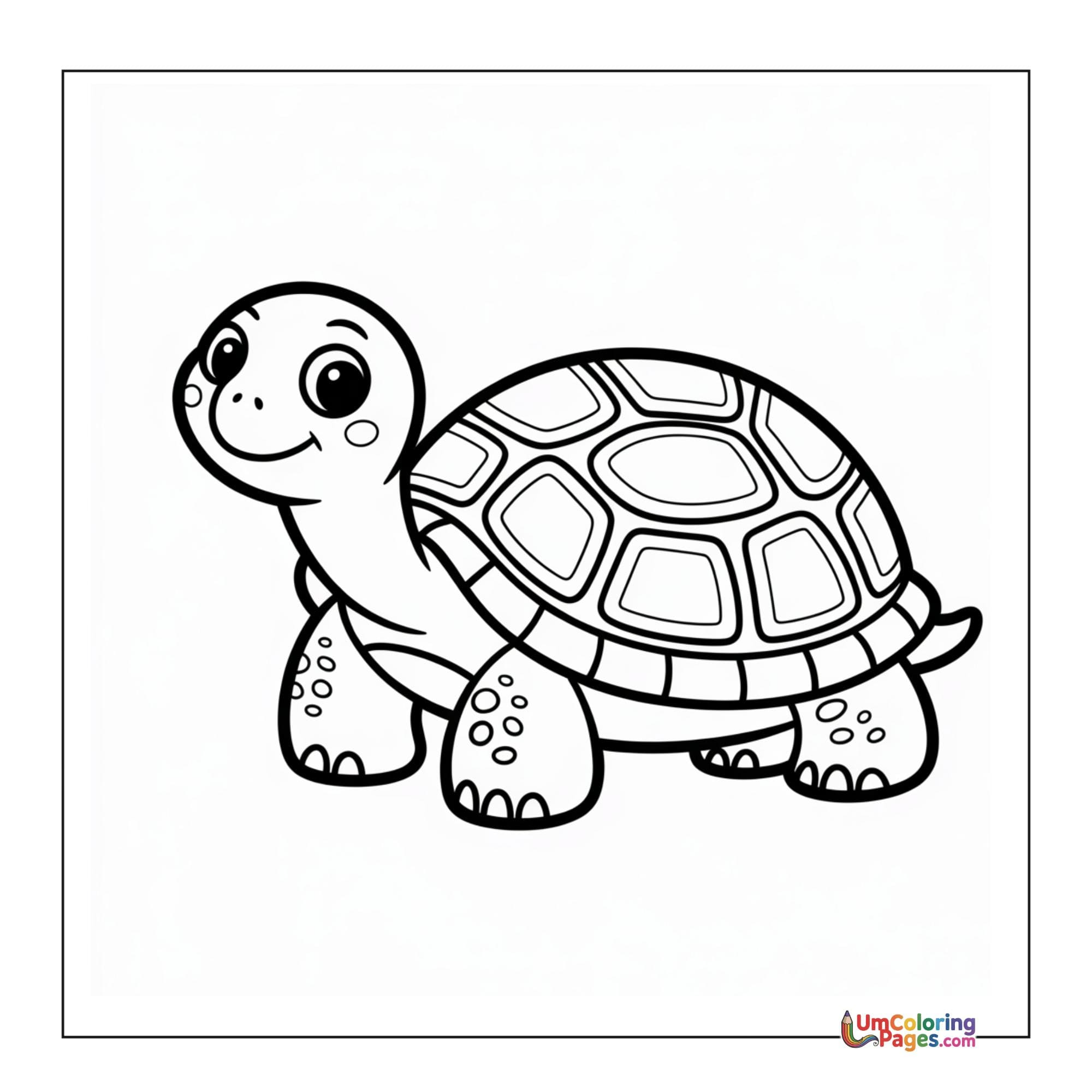 Tortoise coloring page 5 - free printable PDF