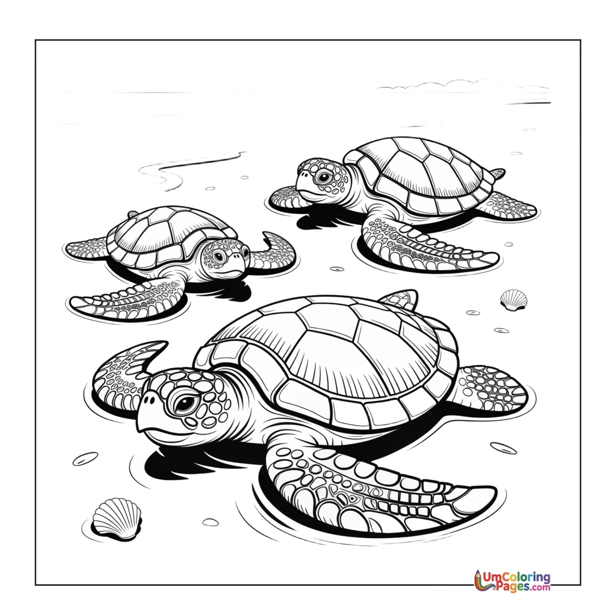 Turtle coloring page 6 - free printable PDF