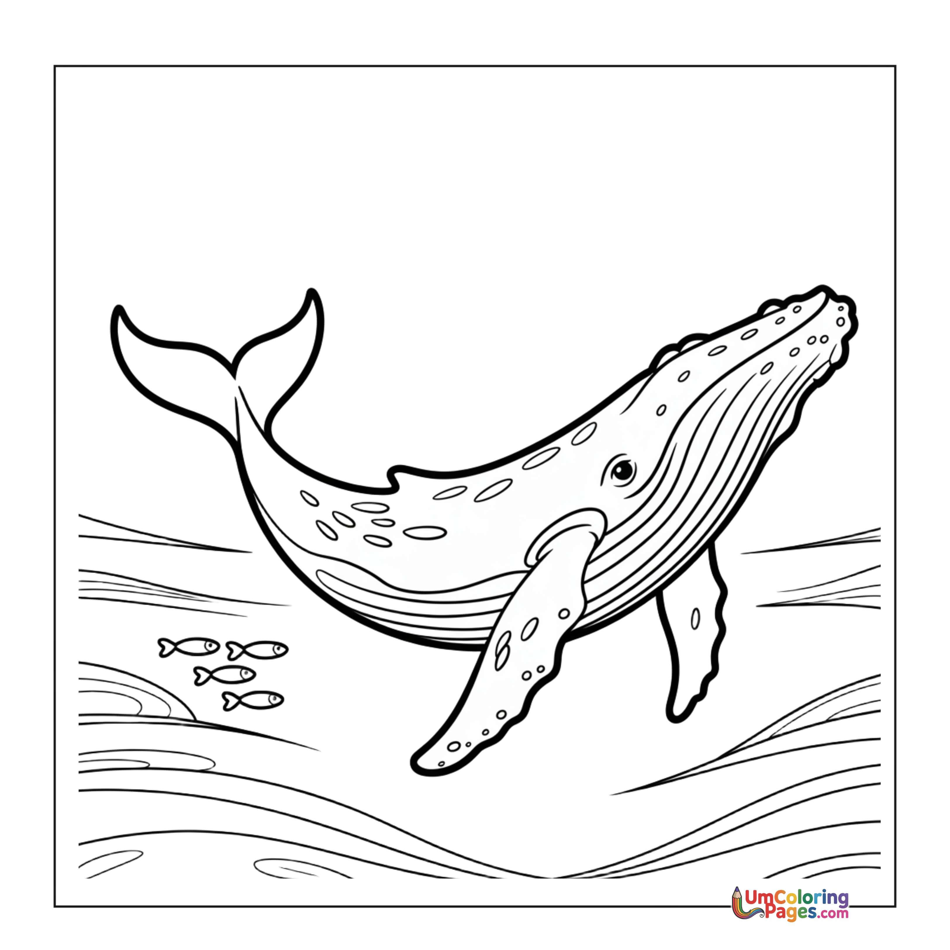 Whale coloring page - free printable