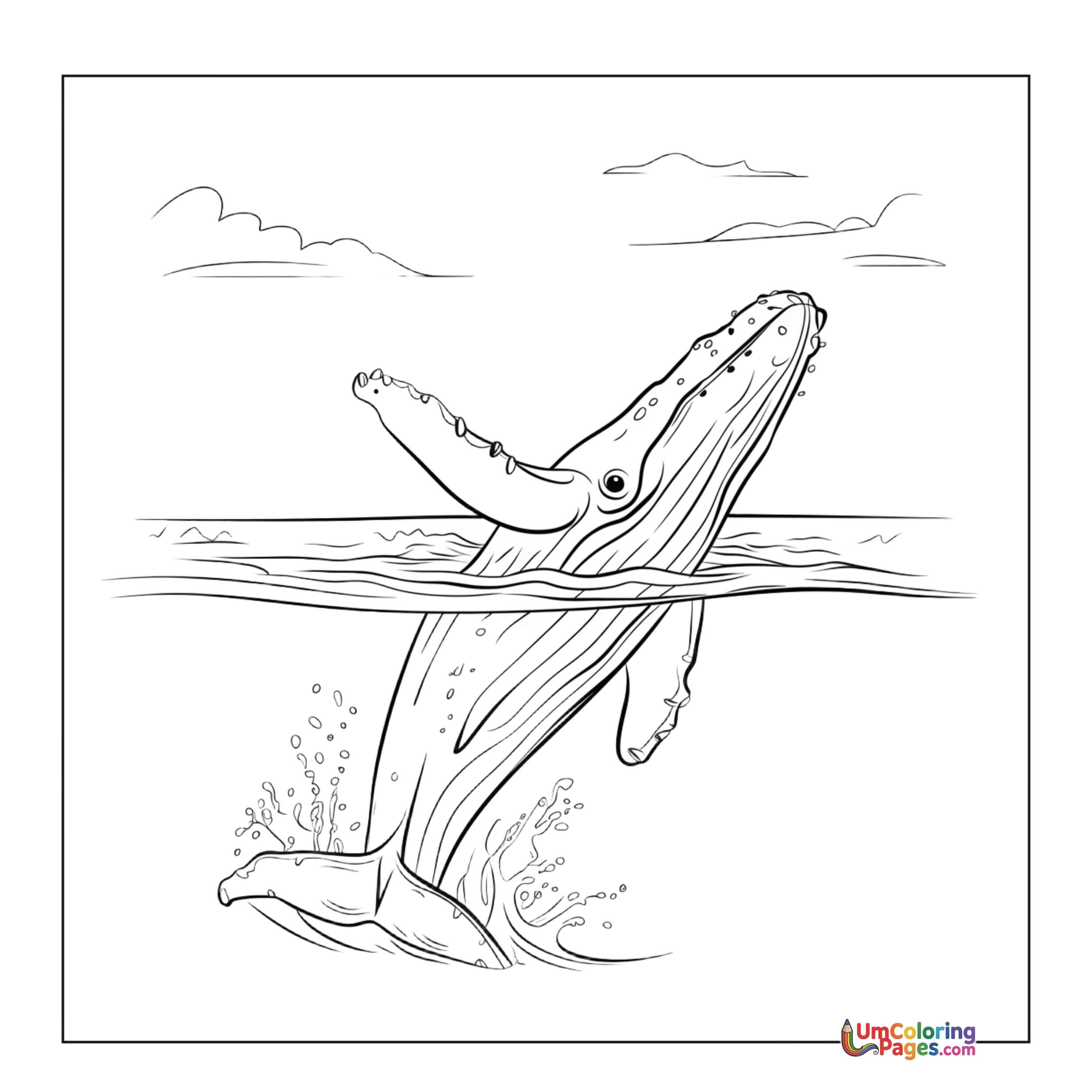 Whale coloring page 2 - free printable PDF