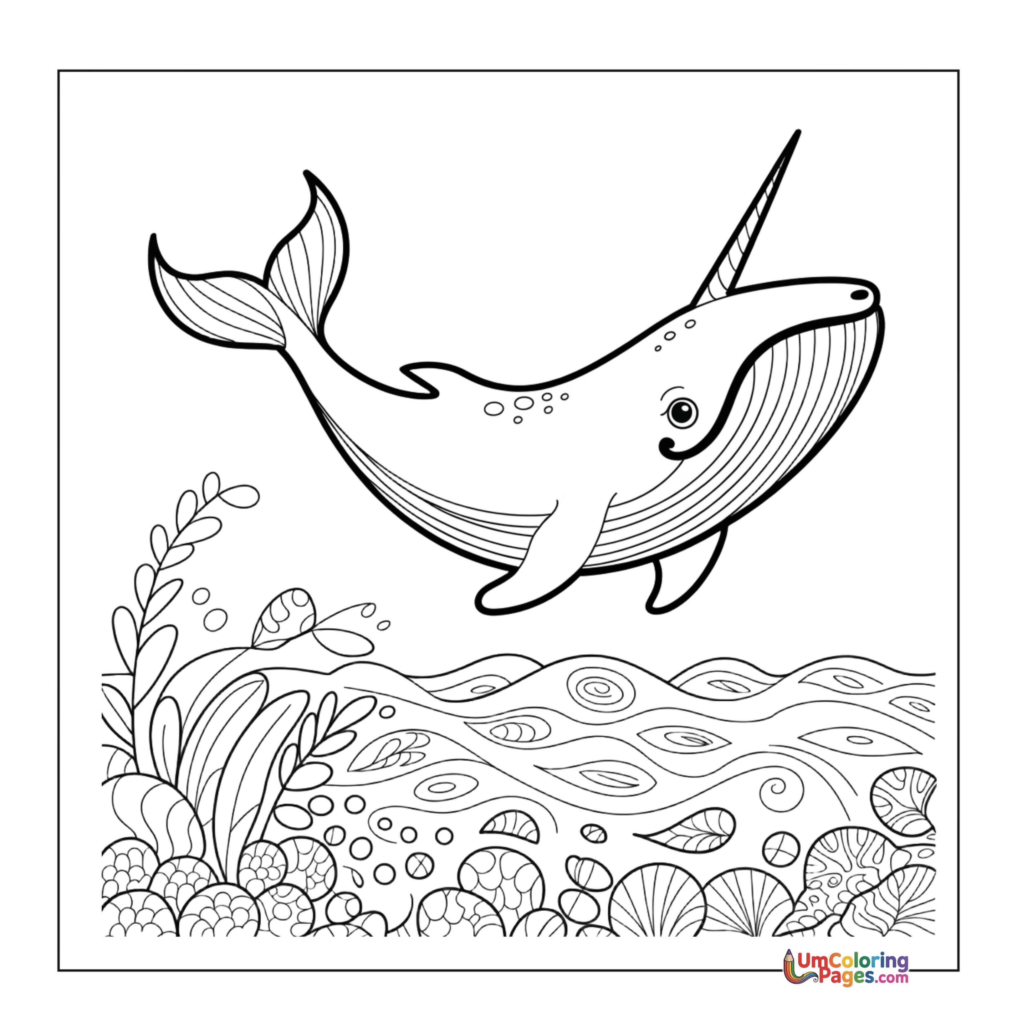 Whale coloring page 3 - free printable PDF