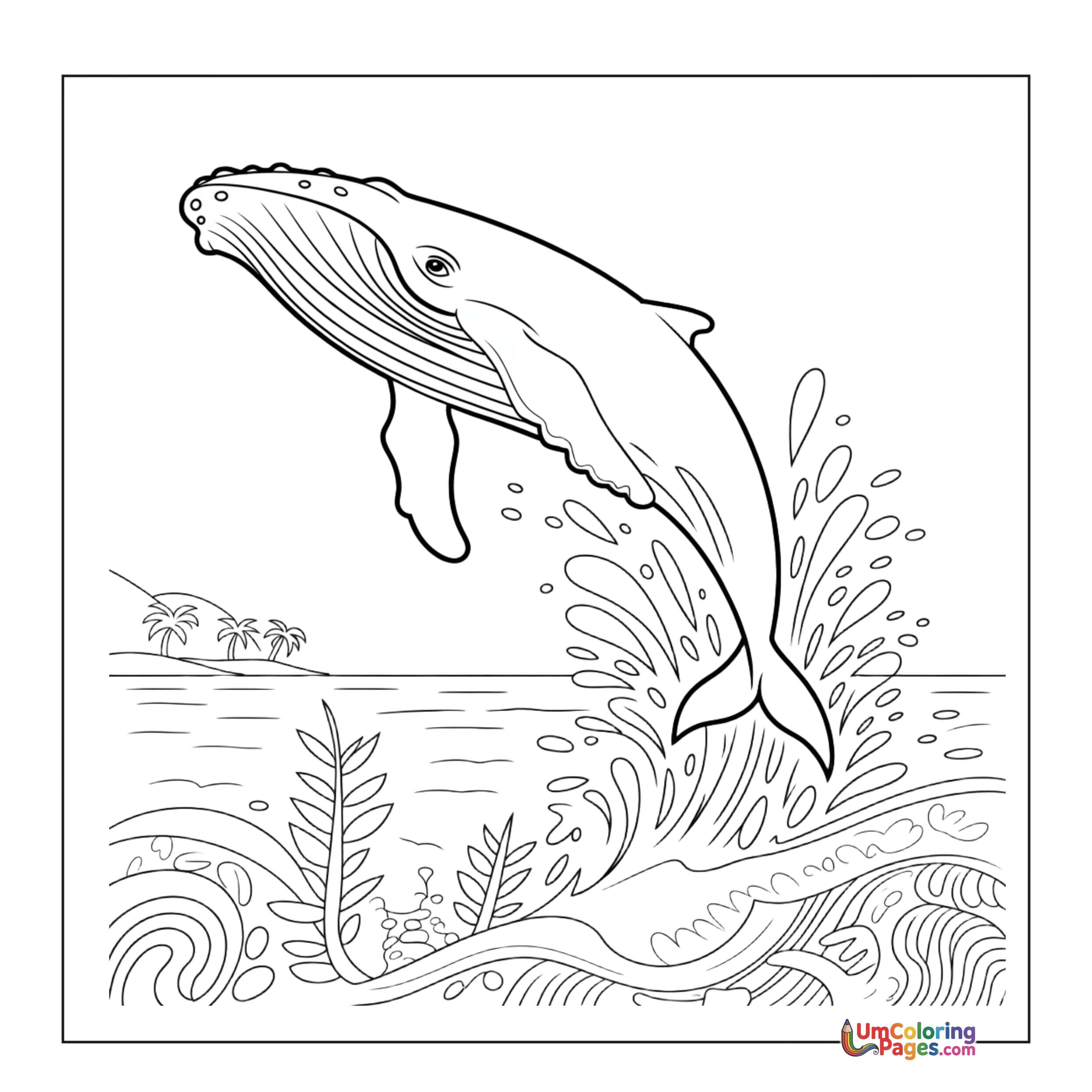 Whale coloring page 5 - free printable PDF