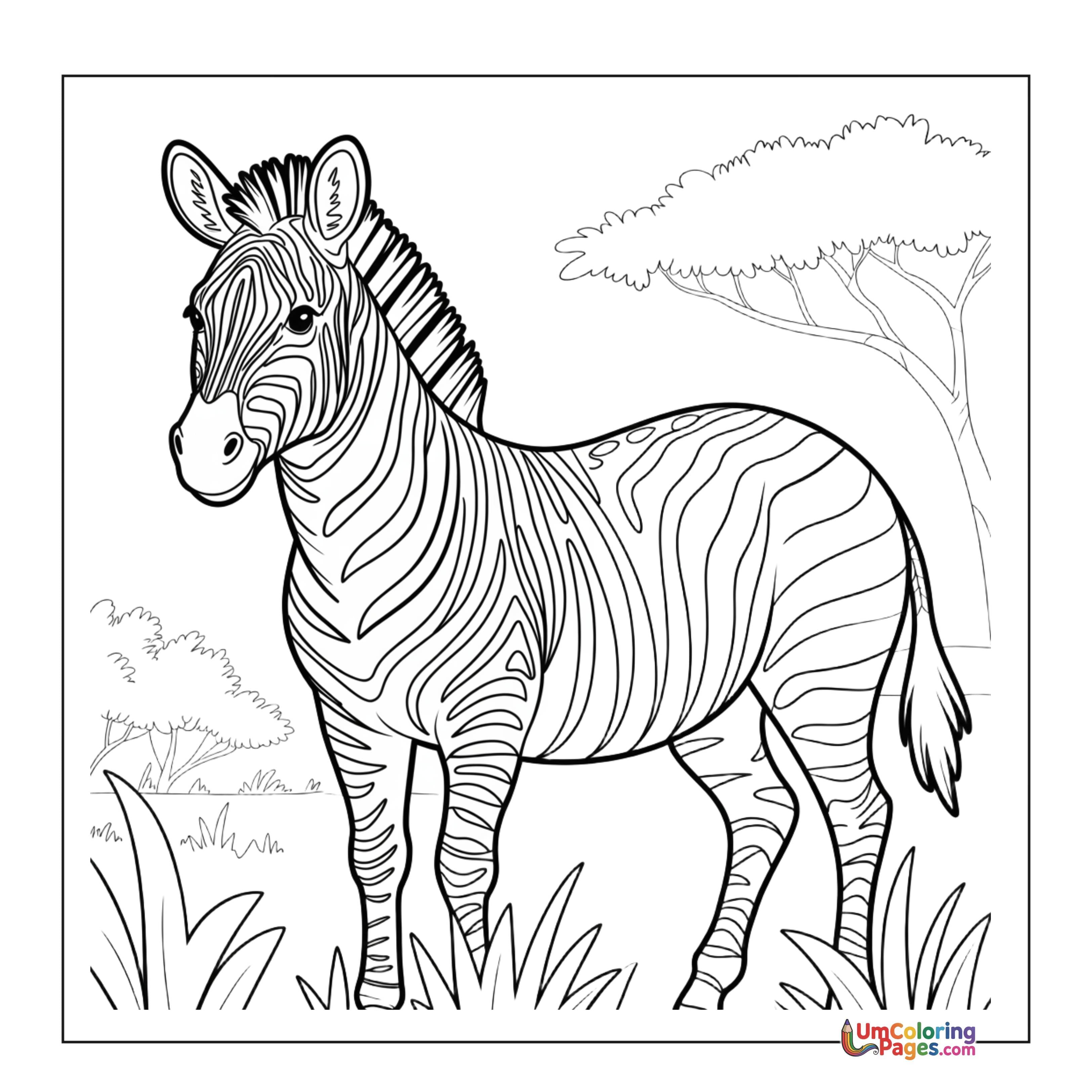 Zebra coloring page 2 - free printable PDF